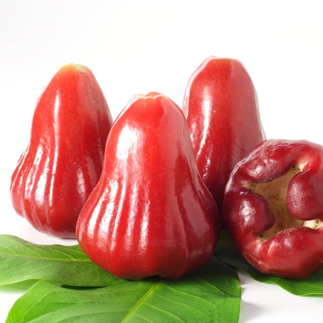 【果農直配】黑糖芭比蓮霧特大果(2箱_每箱7-9入/約3斤) 歷史價格詳細信息