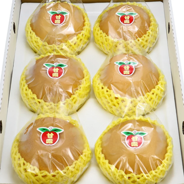 6斤棉填充瑜伽抱枕艾揚格陰瑜伽初學者輔助孕婦腰靠枕可拆洗大號 歷史價格詳細信息