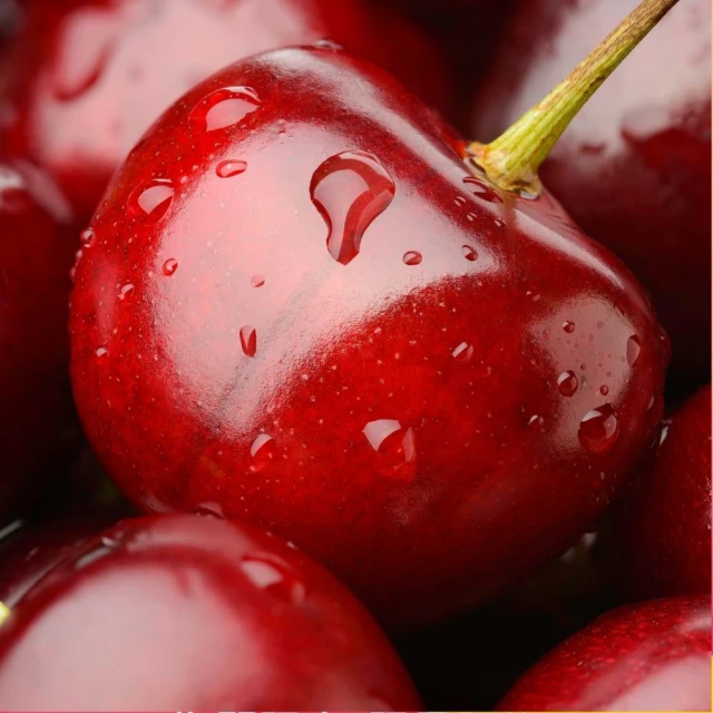 【RealShop 真食材本舖】智利空運鮮採XJ/9.5R-10R櫻桃 (5kg±10%原裝) 歷史價格詳細信息