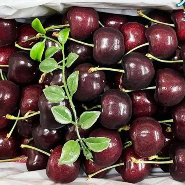 頂級-亞馬遜河虎眼石避邪招財墜~正A貨~項鍊、墜子、手鍊等主石，閃閃發亮，低調高雅! 歷史價格詳細信息