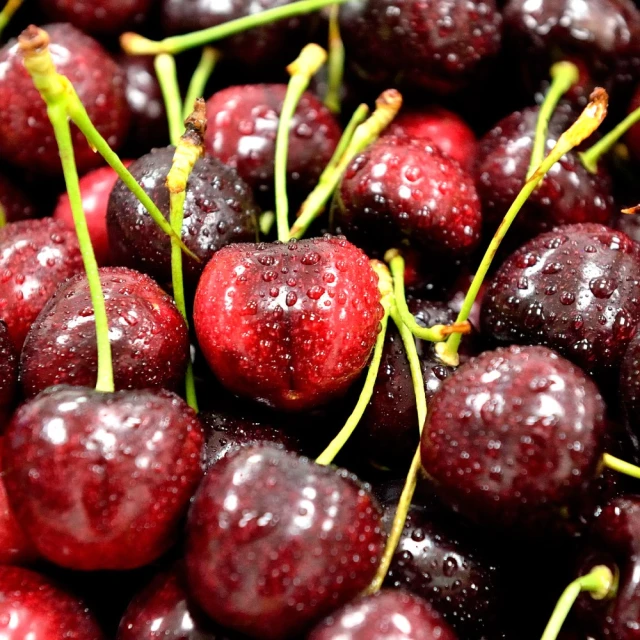 【金澤旬鮮屋】手打香酥青蔥厚餅買10送5(共15片) 歷史價格詳細信息