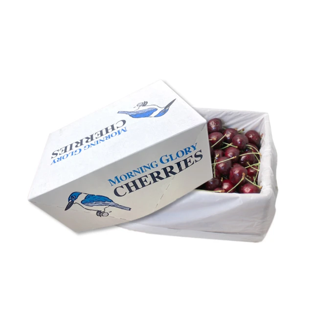 過年水果盤 客廳 多層 鐵藝水果籃  家用 客廳茶几網紅水果托盤  零食擺放盤 辦公室果盤子-滿599免運 歷史價格詳細信息