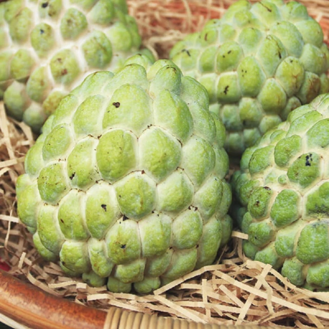 【金澤旬鮮屋】大西洋頂級中段厚切白帶魚15片(130g/片) 歷史價格詳細信息