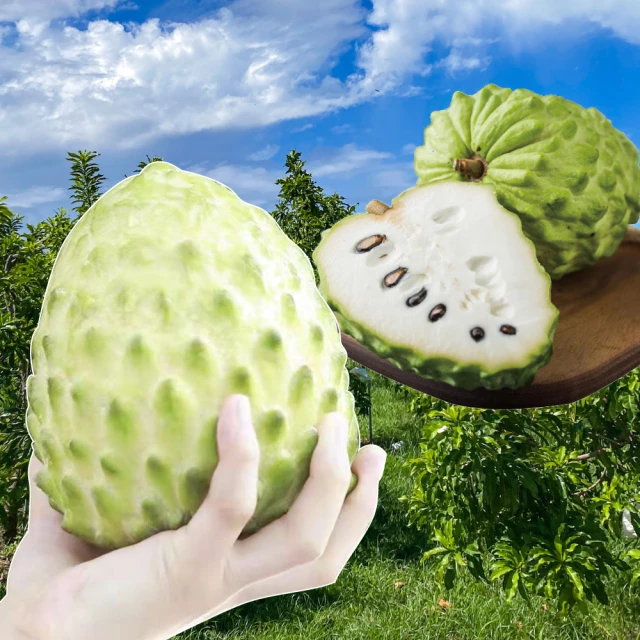 【初品果】台東知本大目釋迦10斤12-14顆x1箱(每顆380g-450g_年節禮盒)(中秋禮盒) 歷史價格詳細信息