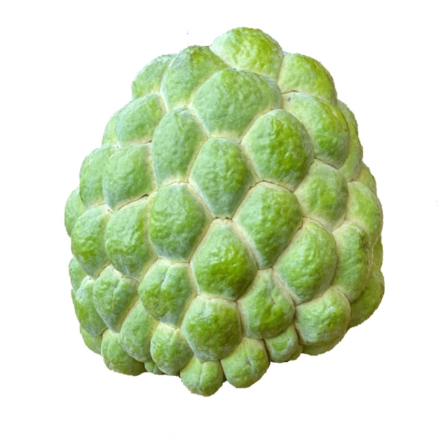 台農乳品 果汁保久乳(24瓶/箱)_果汁牛奶 歷史價格詳細信息