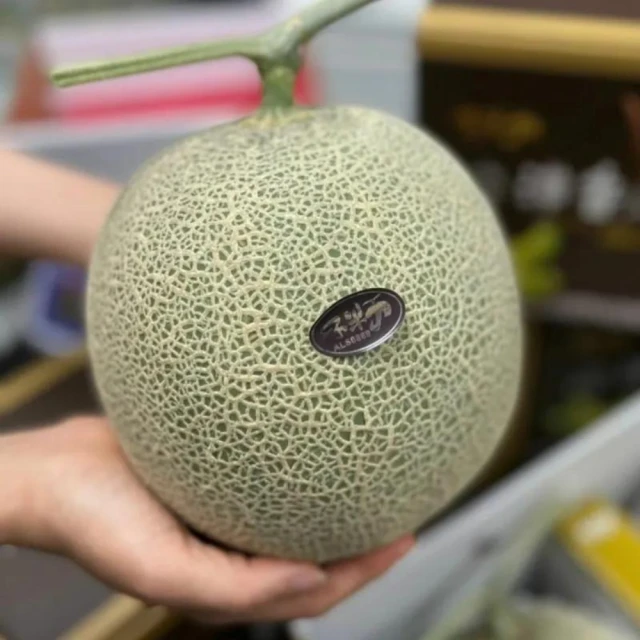 【RealShop 真食材本舖】日本頂級品種 阿露斯網紋洋香瓜 兩顆裝禮盒 歷史價格詳細信息