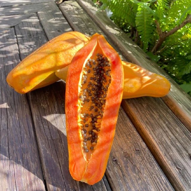 美濃 饗米脆餅 (法國松露/日本芥末/台灣三星蔥/七味唐辛子) 口味任選(12包x4箱) 歷史價格詳細信息