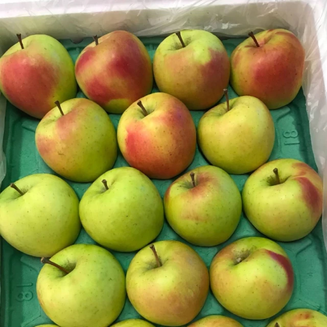 【WANG蔬果】日本A級青森TOKI水蜜桃蘋果(8入禮盒/約2.2kg) 歷史價格詳細信息