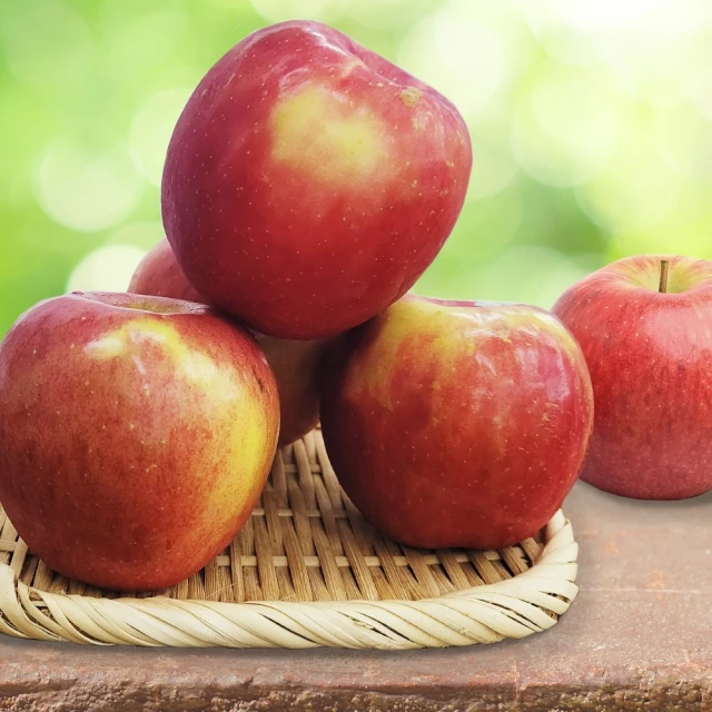 北極熊國際專用液晶冷氣遙控器 AI-P1 歷史價格詳細信息