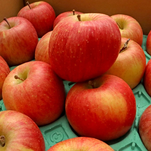 【WANG 蔬果】日本山形縣蜜蘋果(原裝6-9入/約2Kg) 歷史價格詳細信息