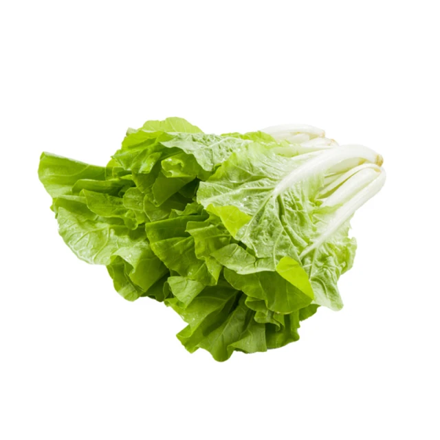 【菜霸子】任選-滿599元出貨(去殼茭白筍 300g/袋 廠商直送) 歷史價格詳細信息