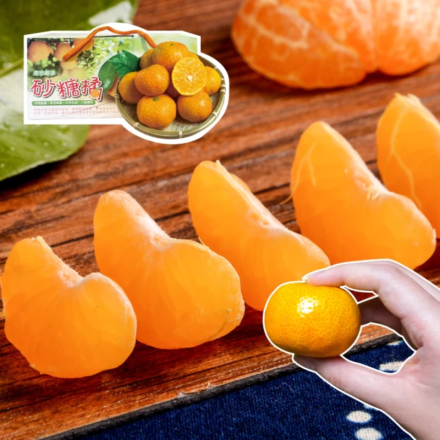 【初品果】屏東高樹鮮採酪梨5斤3-6顆x2盒(幸福牛油果_草生栽培) 歷史價格詳細信息