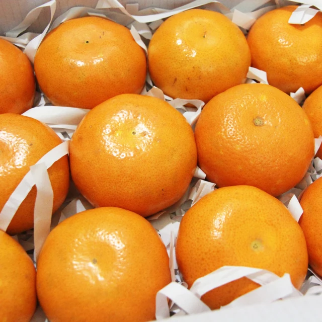 果然氏Crop 方水滴檜木盤 MIT台灣在地工藝家製造 歷史價格詳細信息