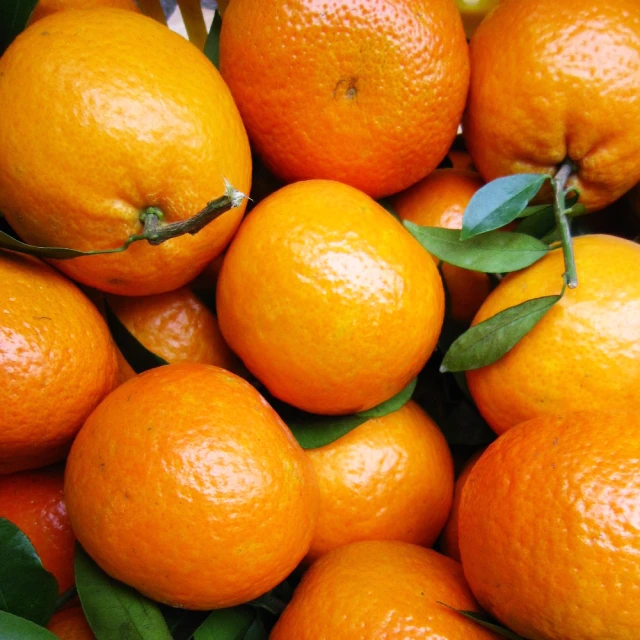 果然氏Crop 方水滴檜木盤 MIT台灣在地工藝家製造 歷史價格詳細信息