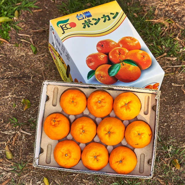 【大雪山農場】山苦瓜茶-3g-20包-盒  (2盒一組) 歷史價格詳細信息