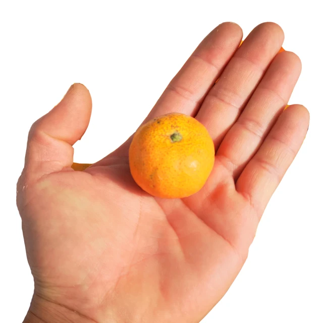 台灣鮮鴕鳥片佐蔬果雞柳 歷史價格詳細信息