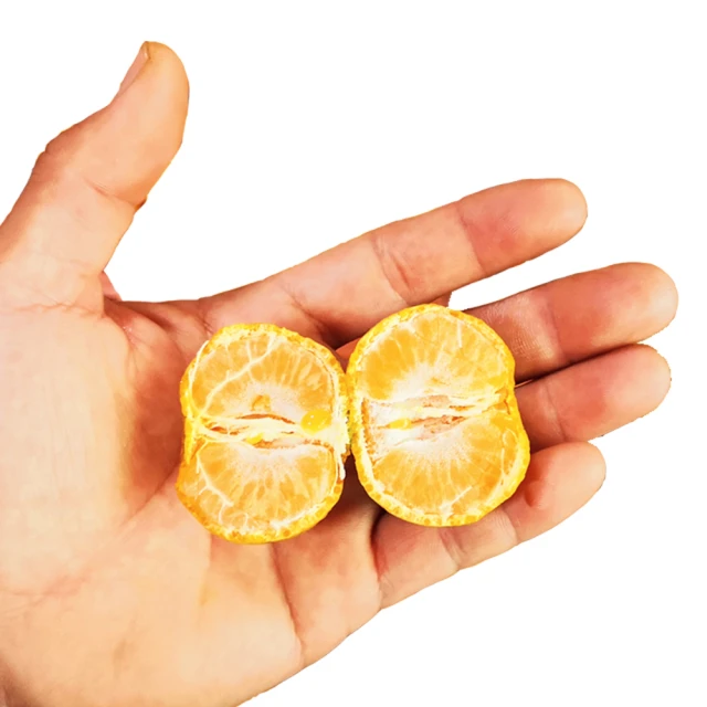 南沙中交匯通中心南地塊grg造型項目grg吊頂 選擇飾紀上品grg 歷史價格詳細信息