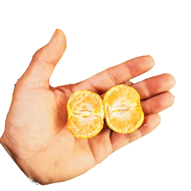 南沙中交匯通中心南地塊grg造型項目grg吊頂 選擇飾紀上品grg 歷史價格詳細信息