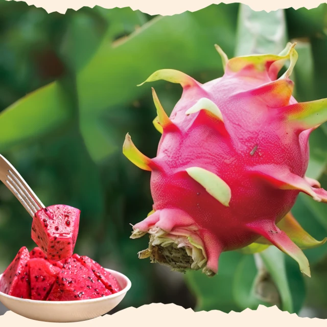 【初品果】屏東高樹鮮採酪梨5斤3-6顆x2盒(幸福牛油果_草生栽培) 歷史價格詳細信息