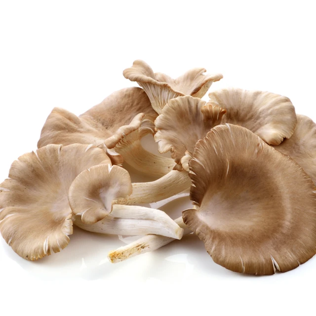 盛花園蔬果 鮮菇精選 (杏鮑菇600g/袋、香菇600g/袋、金針菇200g/包x6包、鴻喜菇120g/包x6包) 歷史價格詳細信息