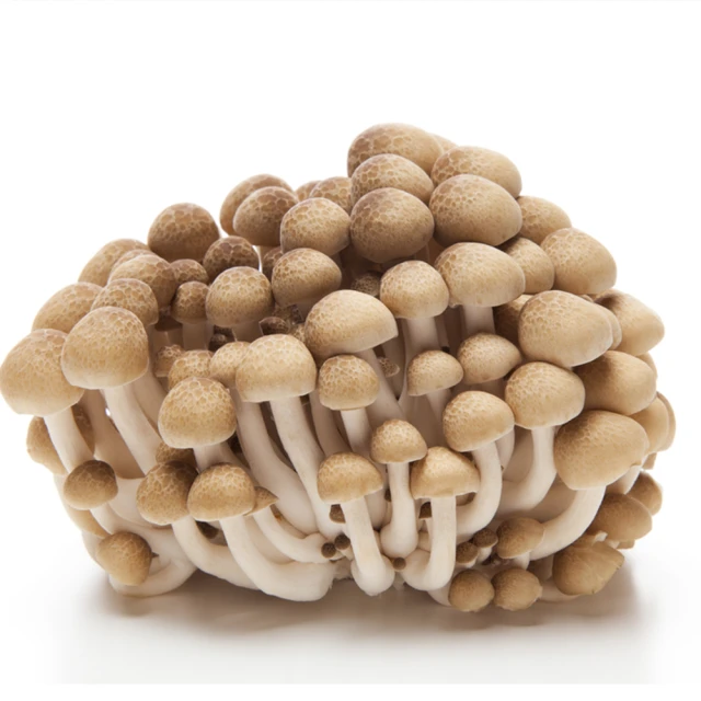 盛花園蔬果 南投國姓鄉鴻喜菇120g x3包(溫控栽培_具蟹香風味) 歷史價格詳細信息