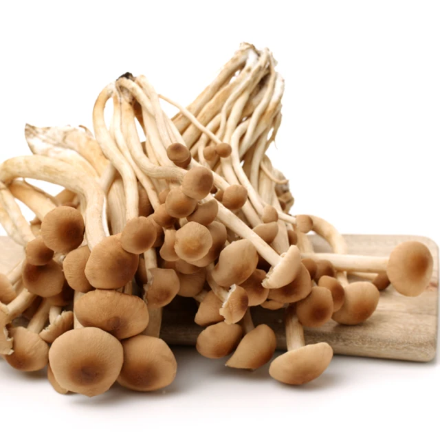 盛花園蔬果 屏東有籽檸檬 600gx3袋(現採直送) 歷史價格詳細信息