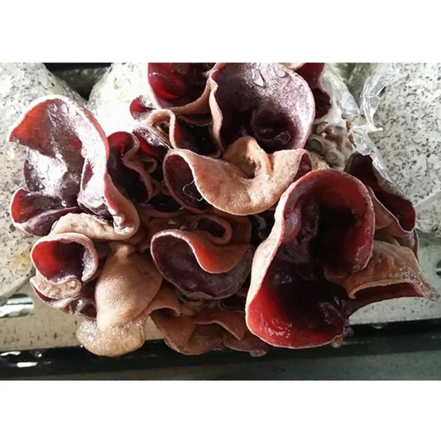 鮮採柚子皮果乾隨手包100G【每日優果】 歷史價格詳細信息