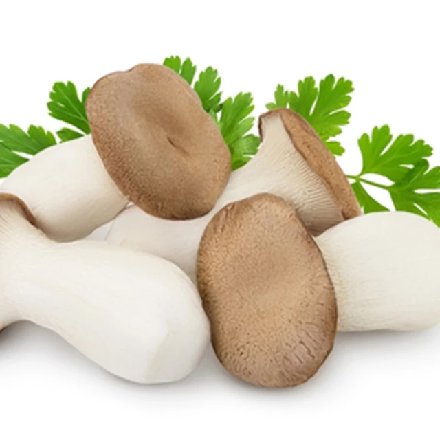 盛花園蔬果 鮮菇精選 (杏鮑菇600g/袋、香菇600g/袋、金針菇200g/包x6包、鴻喜菇120g/包x6包) 歷史價格詳細信息