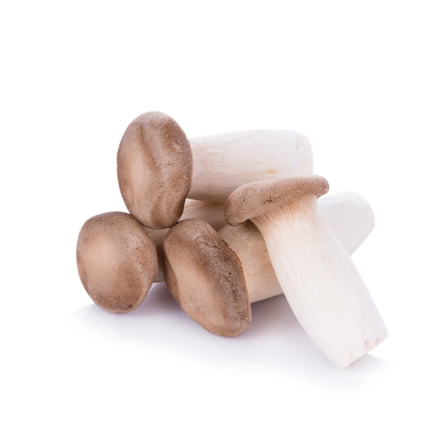 菜霸子 水果箱．健康選果組合-組合隨機 廠商直送 歷史價格詳細信息