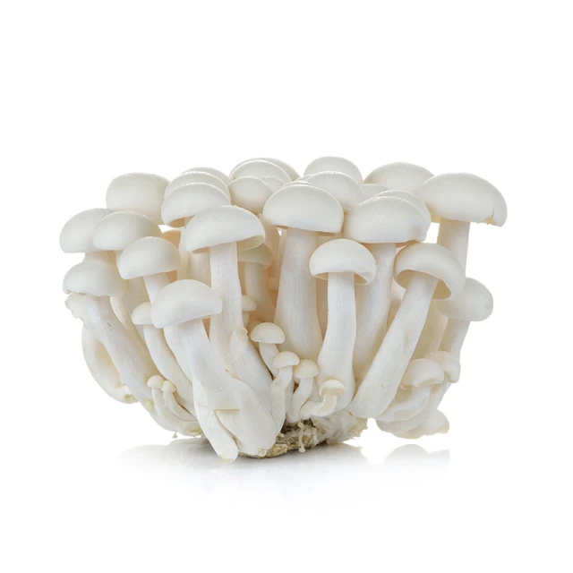 菜霸子 水果箱．健康選果組合-組合隨機 廠商直送 歷史價格詳細信息