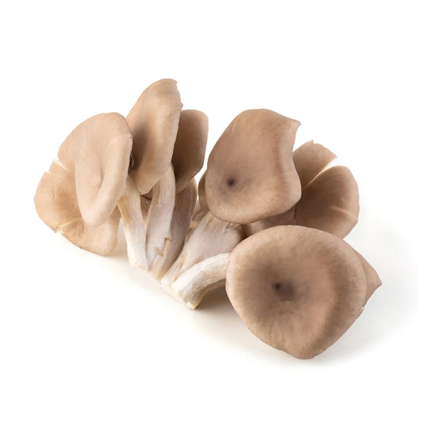 菜霸子 水果箱．健康選果組合-組合隨機 廠商直送 歷史價格詳細信息