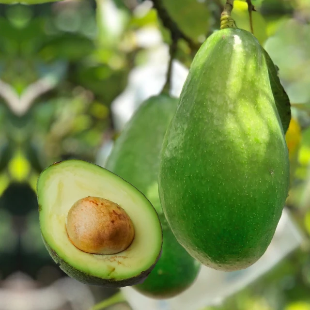 【十翼饌】山野珍藏禮盒 X3組 (香菇禮盒 / 南北貨禮盒) 歷史價格詳細信息