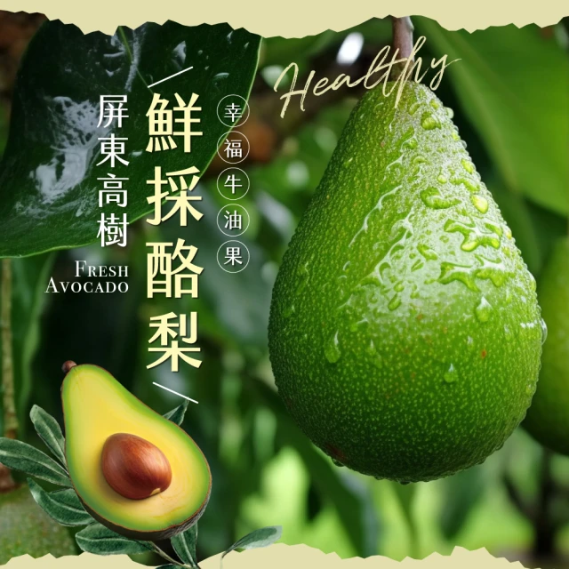 【初品果】屏東高樹鮮採酪梨5斤3-6顆x2盒(幸福牛油果_草生栽培) 歷史價格詳細信息