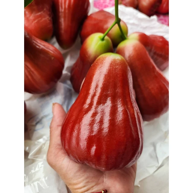 【黑貓嚴選】棗樂子 檜木蜜棗禮盒(3000g/約27入/盒) 歷史價格詳細信息