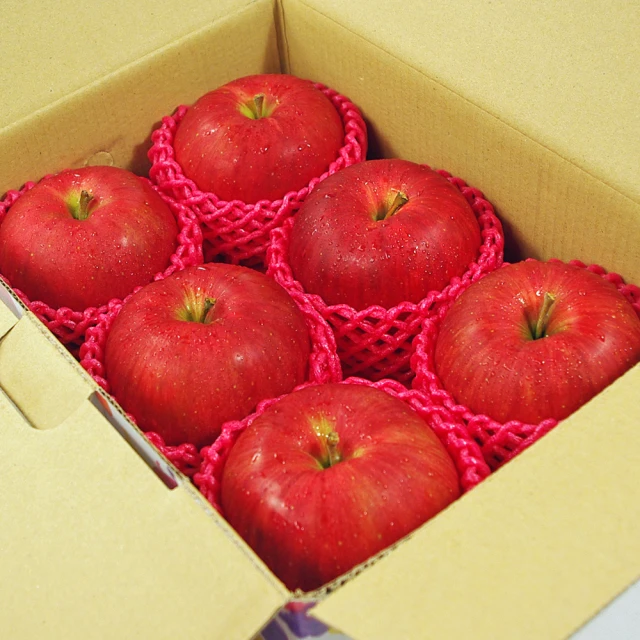 【鮮果日誌】平安順利祝福禮盒(智利蘋果6入+東勢台灣梨2入) 歷史價格詳細信息