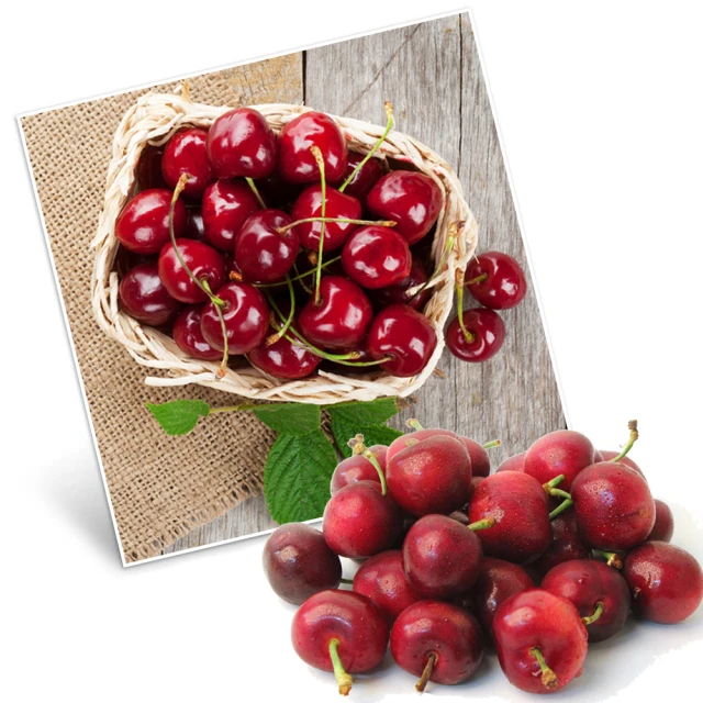 過年水果盤 客廳 多層 鐵藝水果籃  家用 客廳茶几網紅水果托盤  零食擺放盤 辦公室果盤子-滿599免運 歷史價格詳細信息