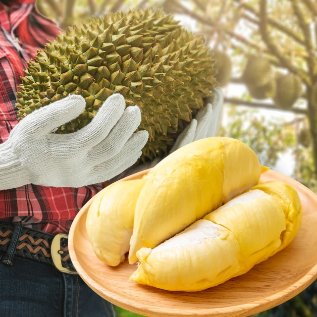 泰國2ATT銅幣，18xx年的，稀有品種，細節還可以，直徑31067815178 歷史價格詳細信息