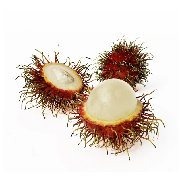 泰國紅十字證章.泰國徽章紀念章勛章獎章11029 歷史價格詳細信息