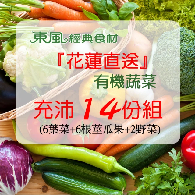 【東風襲人】K1575 ????亞馬遜熱賣????新款大尺碼復古棉麻刺繡寬鬆休閒襯衫 日常百搭 通勤上班 喜酒宴會餐會 歷史價格詳細信息