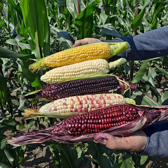 《甜蜜蜜》斑比得4尺組合高鞋櫃 歷史價格詳細信息