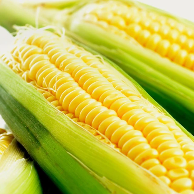 鮮採柚子皮果乾隨手包100G【每日優果】 歷史價格詳細信息