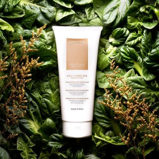 (買1送1)義大利La Belle《斯里蘭卡天然透氣工學舒壓乳膠枕》2入 歷史價格詳細信息