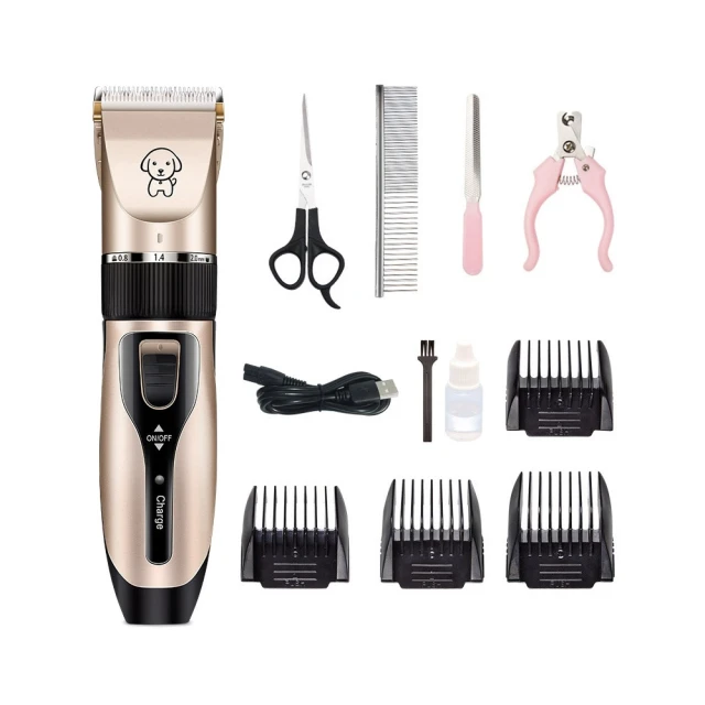 【Petvibe】全自動速開雙門3-4人拋帳1入(速開帳篷/秒開帳/沙灘帳篷/自動帳篷/速開帳篷/野餐帳篷/簡易帳) 歷史價格詳細信息