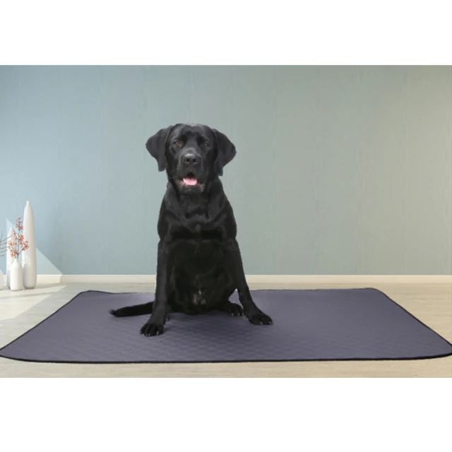 可重複使用寵物尿墊 L 灰色 歷史價格詳細信息