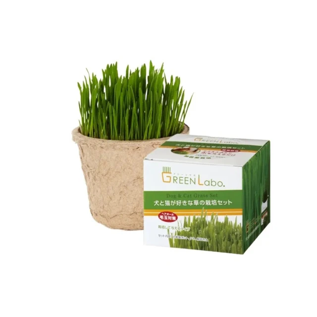 DIY新幹線列車飯糰模具 海苔紫菜壓花 米飯便當 歷史價格詳細信息