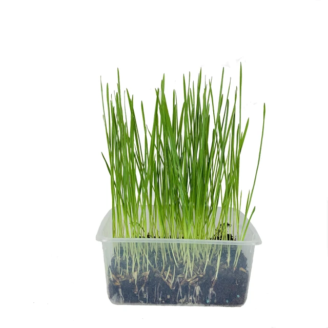 【園藝世界】保麗龍空心磚大38*19*20cm-3入 歷史價格詳細信息