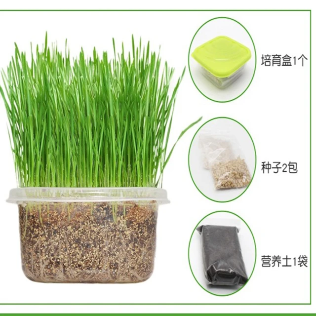 寵物園藝館 寵物骨灰罐 德化瓷 招財貓 可愛 火化骨灰盒 寵物骨灰罈 寵物骨灰 寵物骨灰罈 貓骨灰 狗骨灰罐 寵物紀念 歷史價格詳細信息