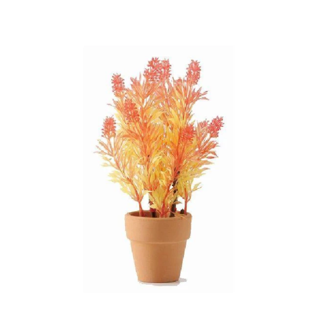 陶瓷魚缸竹子陶罐流水過濾器圓缸專用增氧上置凈水循環三合一系統 歷史價格詳細信息