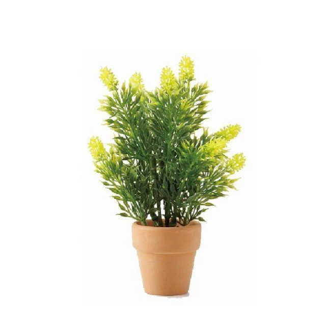 陶瓷魚缸竹子陶罐流水過濾器圓缸專用增氧上置凈水循環三合一系統 歷史價格詳細信息