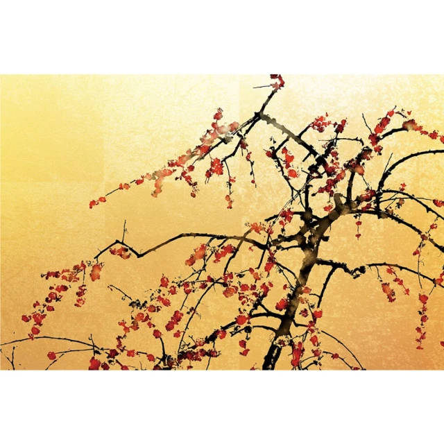 【Kotobuki 壽工藝】HYDRA 4625 烏龜兩棲爬蟲寵物箱 L(日式缸 鬆獅蜥 守宮 蛇 461x461x250mm) 歷史價格詳細信息